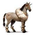 riding horse french trotter chestnut