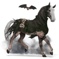 riding unicorn knabstrupper chestnut leopard 
