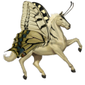 riding unicorn french trotter dark bay