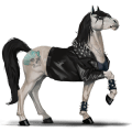 riding horse paint horse chestnut tovero 