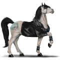 riding horse akhal-teke dapple gray