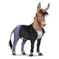 riding horse lipizzan light gray