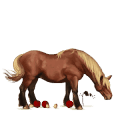 riding unicorn selle français chestnut