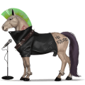 riding horse quarter horse dun