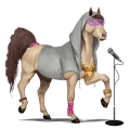 unicorn pony kerry bog bay tobiano