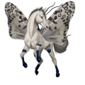 riding unicorn french trotter bay