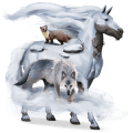 riding horse quarter horse chestnut