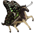 riding unicorn knabstrupper chestnut leopard 