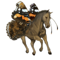 riding horse selle français chestnut