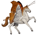 riding horse purebred spanish horse mouse gray