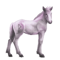 divine horse greyfell   5