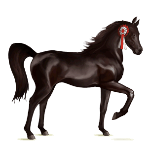 winged riding unicorn akhal-teke strawberry roan
