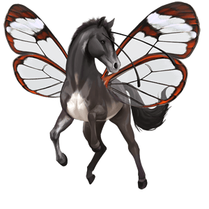 riding horse mustang roan