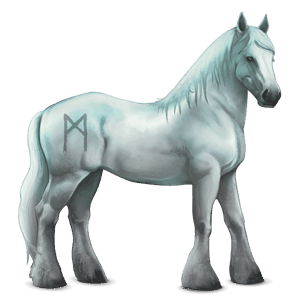 divine horse greyfell  12