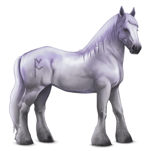 divine horse greyfell   3