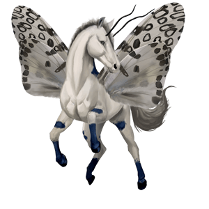 riding horse lipizzan light gray