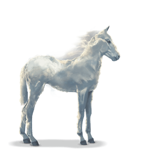 water horse cloud