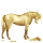 wandering horse fortune