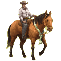 westernpleasure