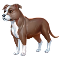 compagnon-cu-sidhe-10_v1740472930.png