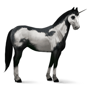 riding unicorn paint horse black overo