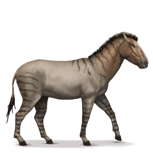 prehistoric horse hippidion