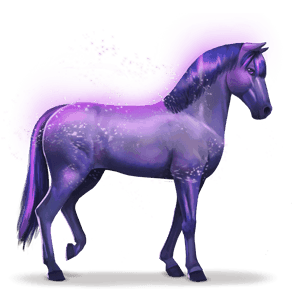 horse of the rainbow devoted indigo